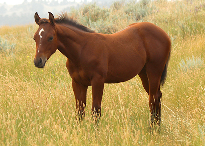 Lot 27 Weavers This Tuf